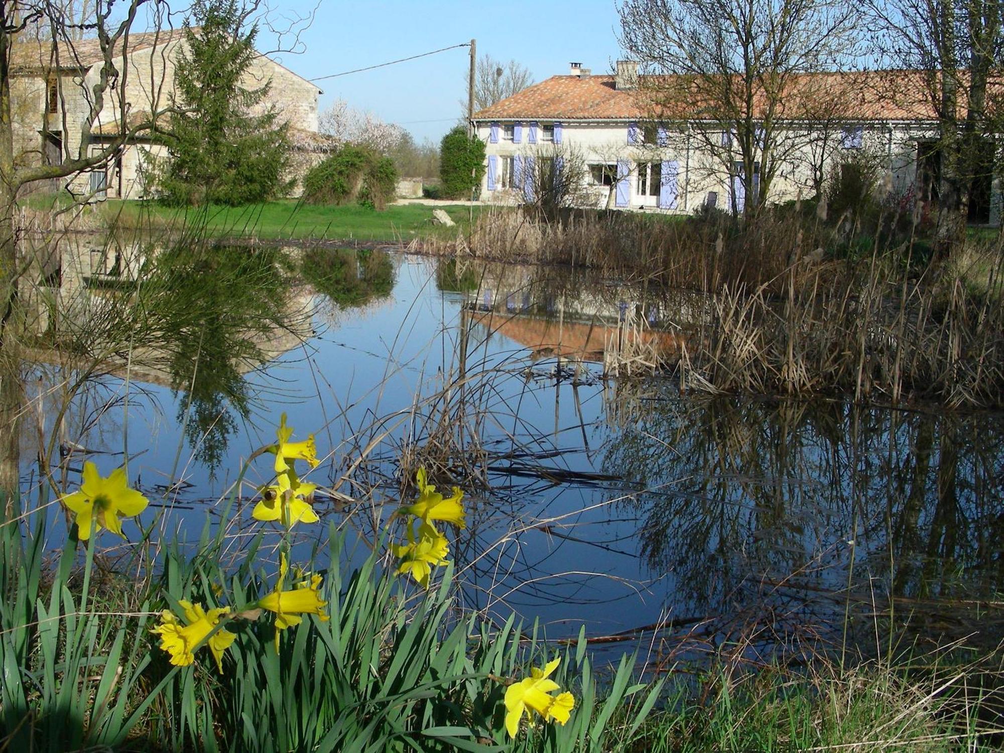 Bessines Chambres D'Hotes Entre Niort Et Marais Poitevin מראה חיצוני תמונה